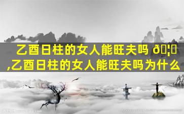 乙酉日柱的女人能旺夫吗 🦉 ,乙酉日柱的女人能旺夫吗为什么